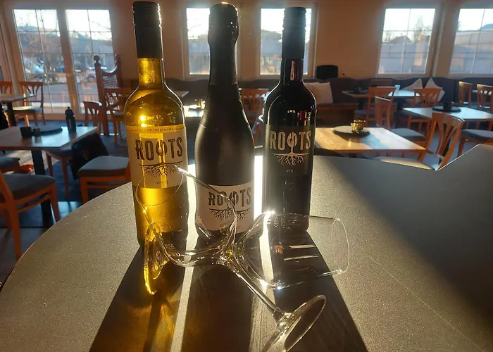 Roots Restaurant Hotel 3*